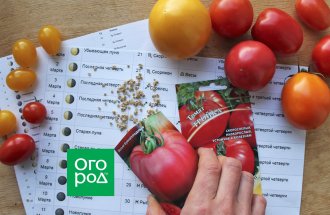 ogorod.ru / Екатерина Горбачёнок: Выращивание томатов по лунному календарю
